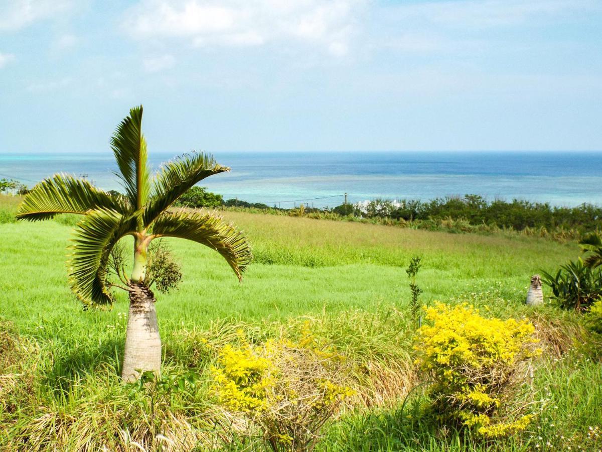 Готель Asobibase Yamabare-House Ishigaki  Екстер'єр фото